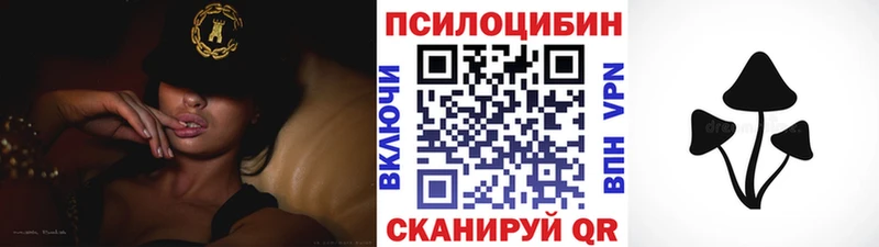 Псилоцибиновые грибы Magic Shrooms  Купить где  Сокол 